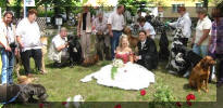 kurz aus der Hochzeitsgesellschaft entfhrt fr's Foto mit den Doggenfreunden... ;o)